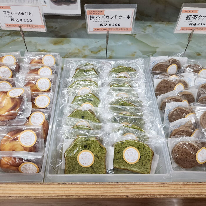 ブログ画像